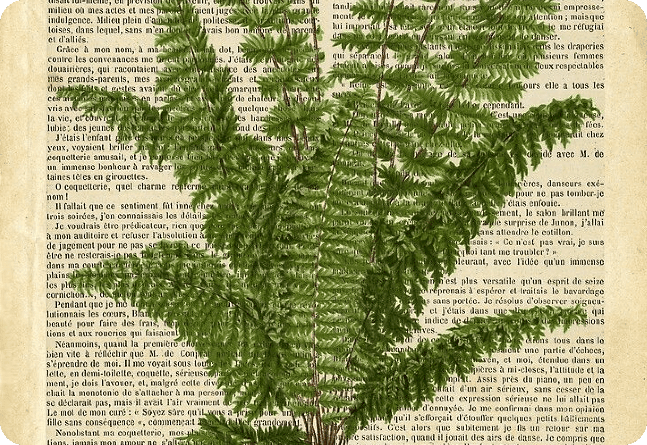 Creative and content squad workspace